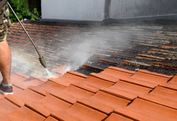Best Best Pressure Washing Companies  in Hudson, FL